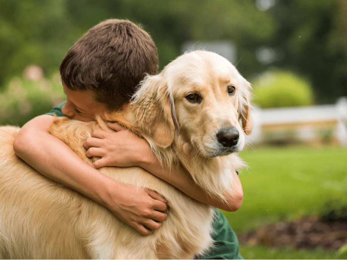 Best dog for deals child with adhd