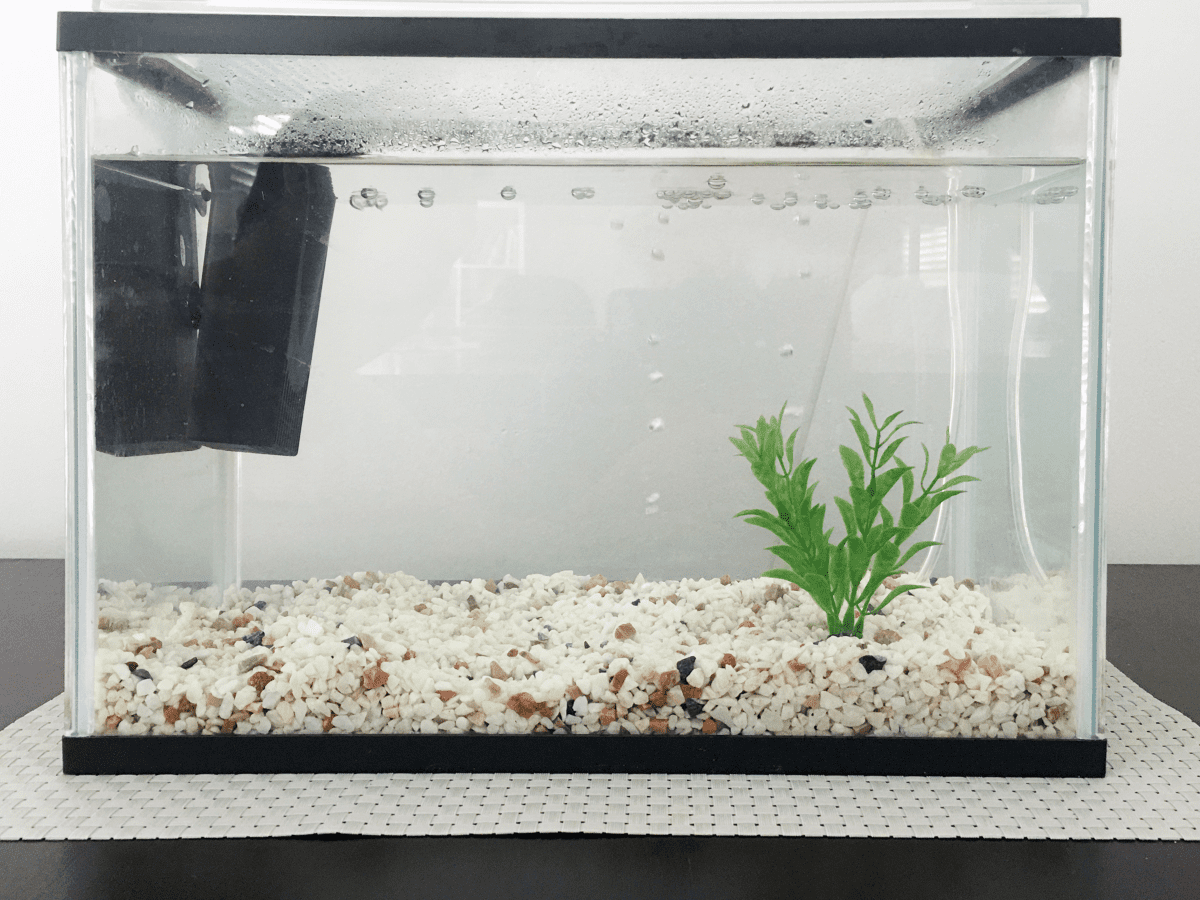 White store aquarium gravel