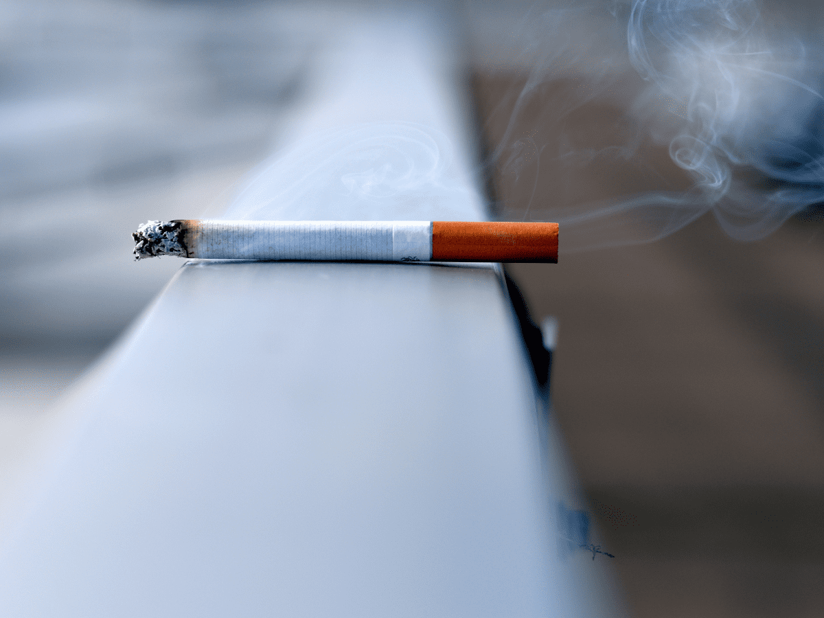 8 Easy Ways to Get Rid of Cigarette Smoke Smell for Good Dengarden