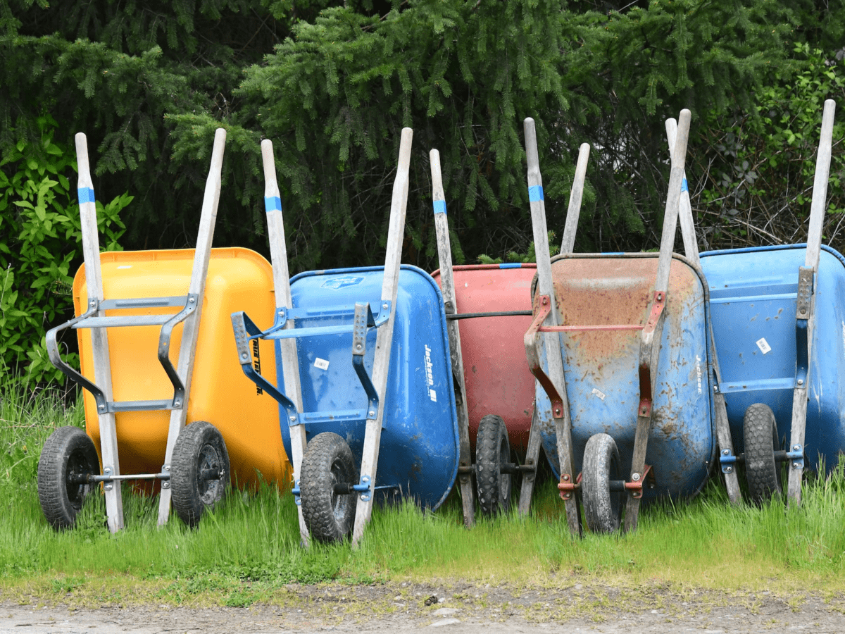 Jackson 2 on sale wheel wheelbarrow