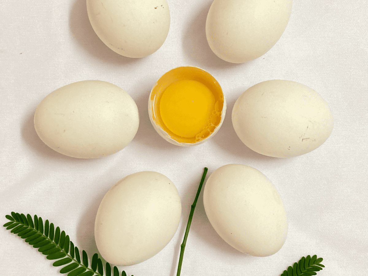 DIY Egg White Face Mask Recipes for Beautiful Skin Bellatory