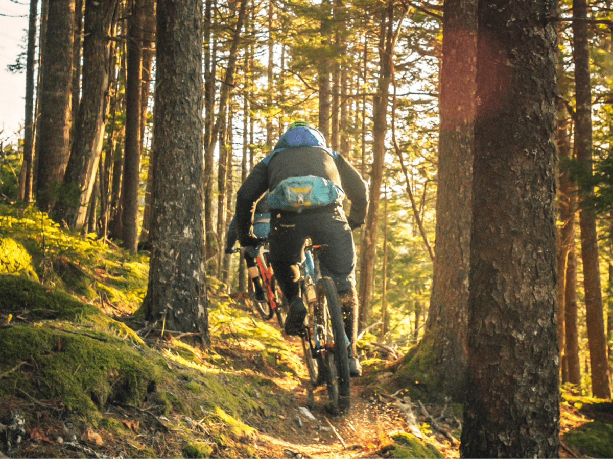 Mountain bike shoes with cheap spd cleats