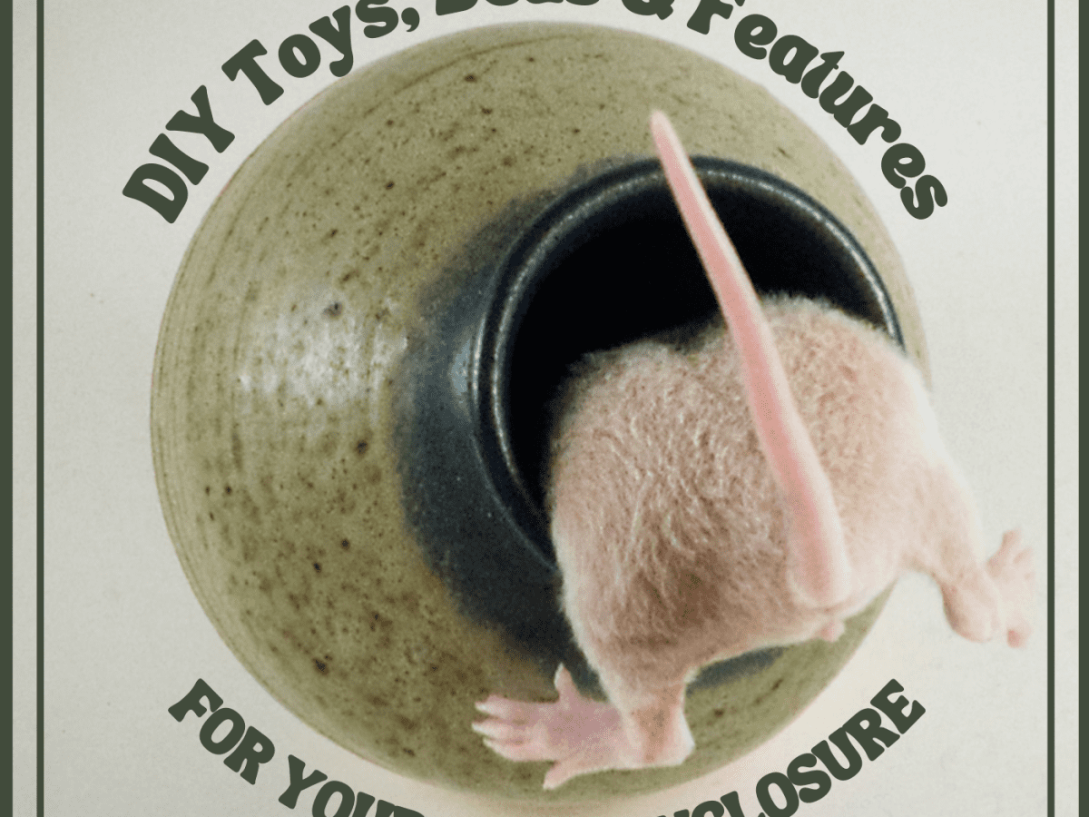 Diy 2024 mice toys