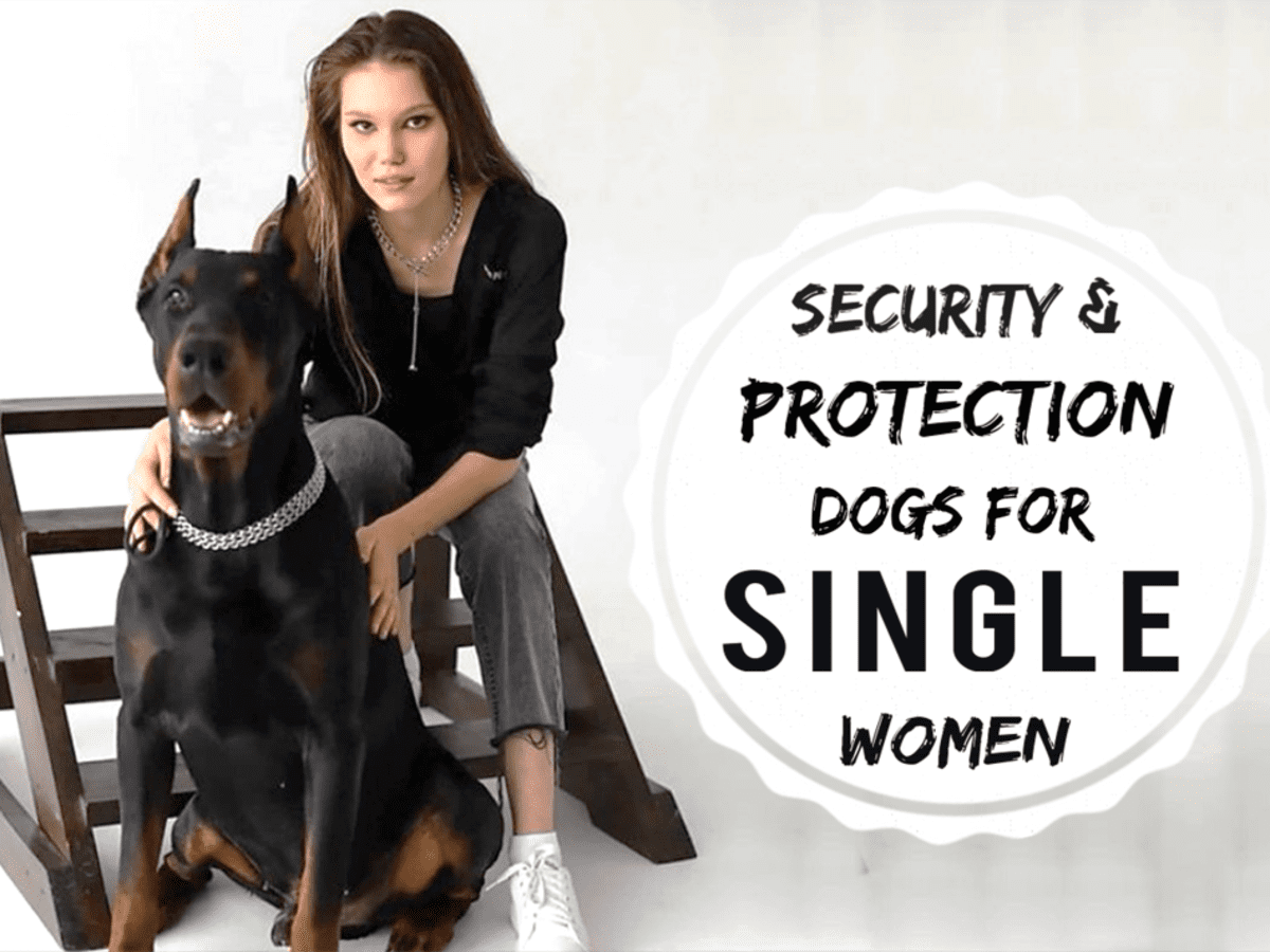 Best dogs deals for single women