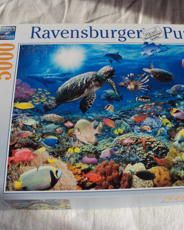 how-to-build-a-5000-piece-ravensburger-jigsaw-puzzle
