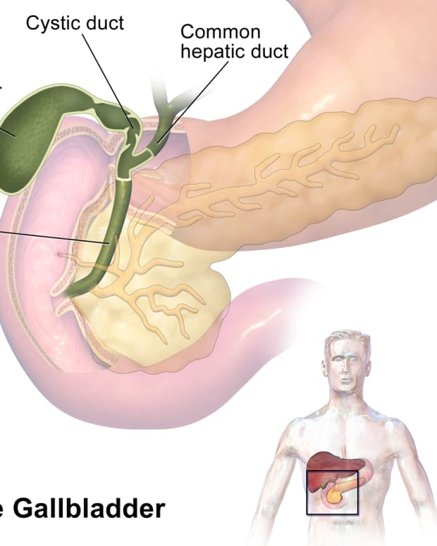 gall-bladder-functions-and-problems