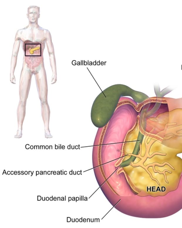 pancreas-function-and-health-problems