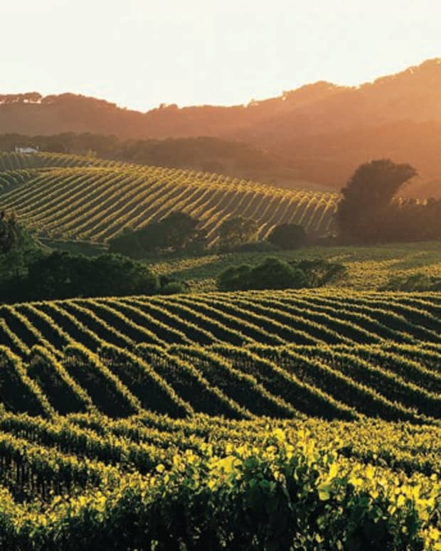 self-guided-driving-tour-of-napa-valley-wine-country