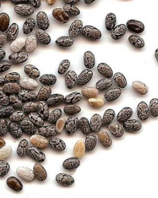 chia-seeds-benefits-and-side-effects