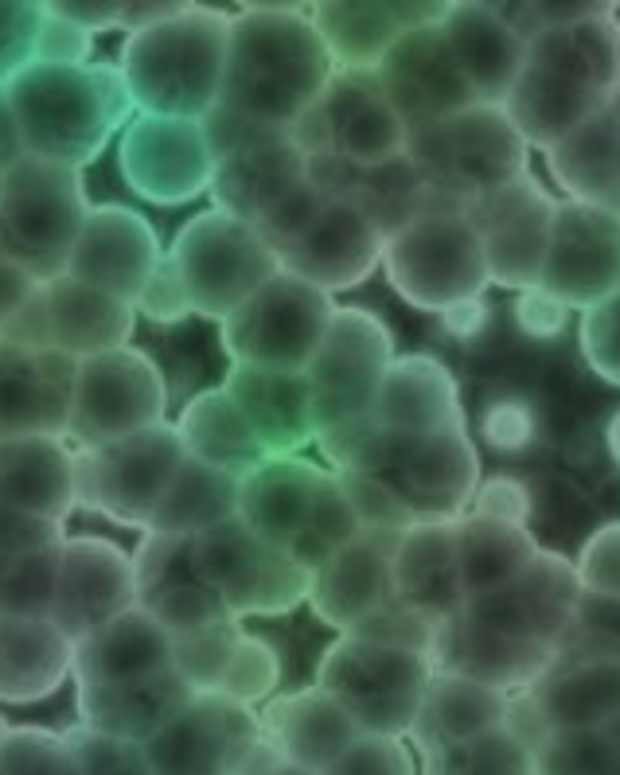 Four Natural Home Remedies for Bruised Ribs RemedyGrove