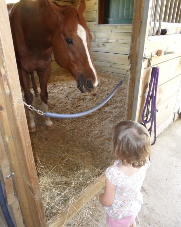 why-horses-are-good-for-little-girls