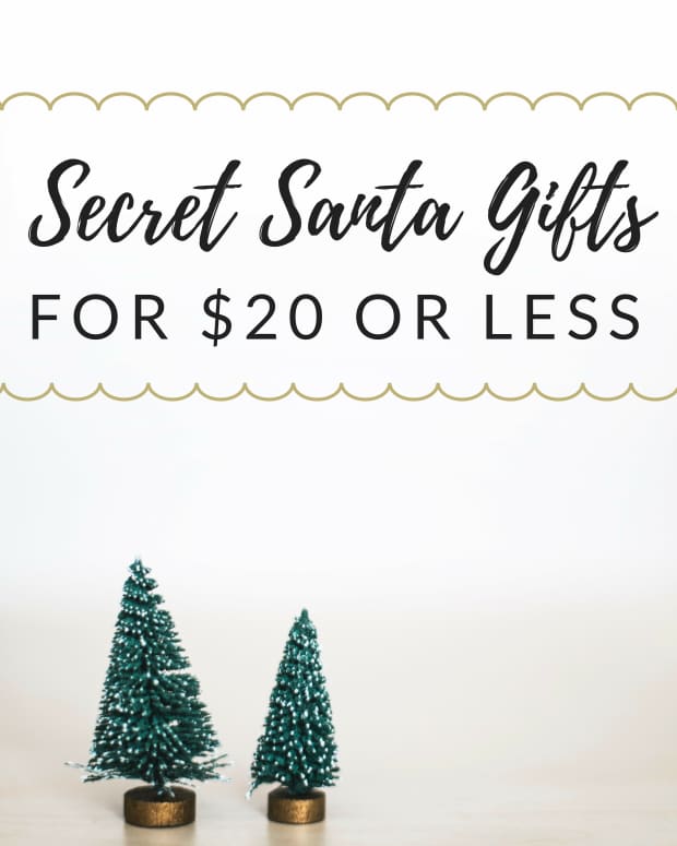 secret-santa-gift-ideas-coworkers-under-20
