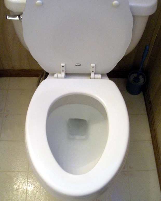 Craziest and Most Unique Toilet Designs Dengarden Home and Garden