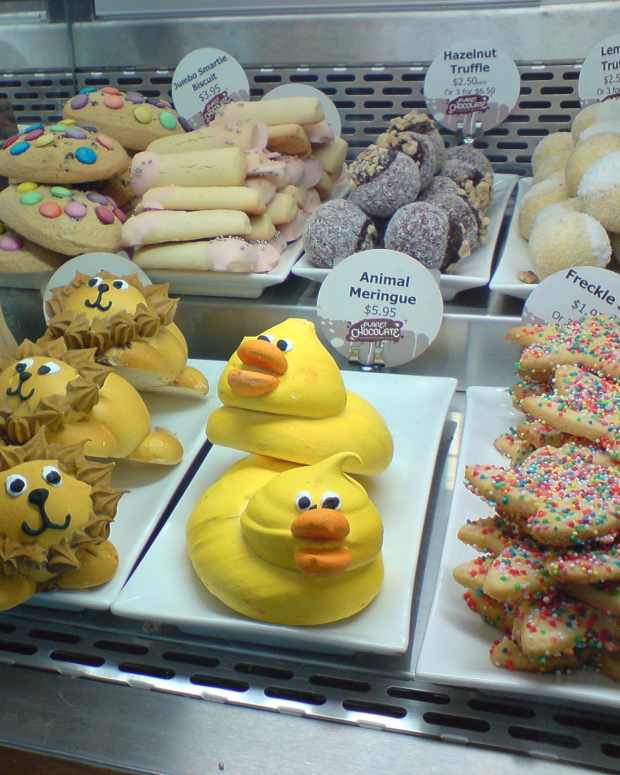 how-to-write-a-position-paper-which-argues-a-claim