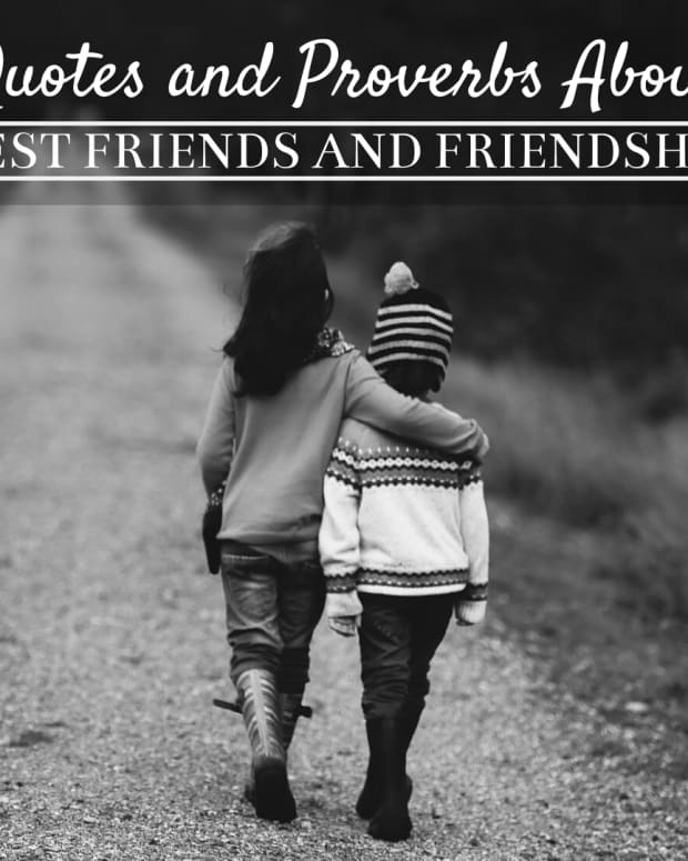 funny-best-friend-quotes-and-sayings