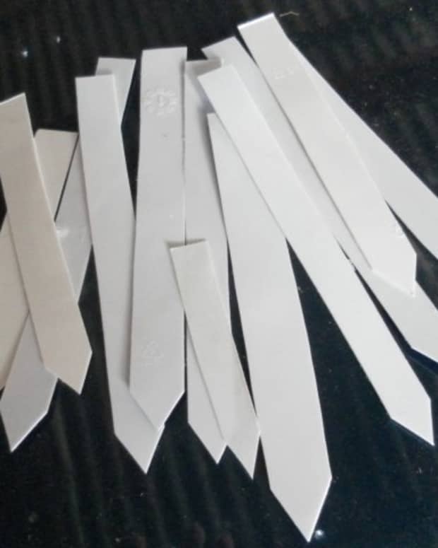 Make Your Own Recycled Plant Watering Globe in Minutes! Dengarden