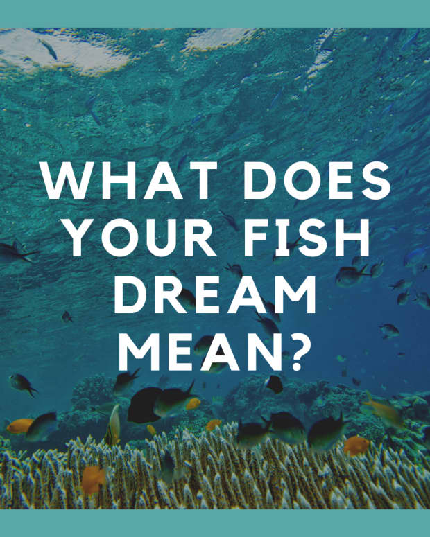 dreaming-of-fish-the-meaning-of-fish-in-dreams