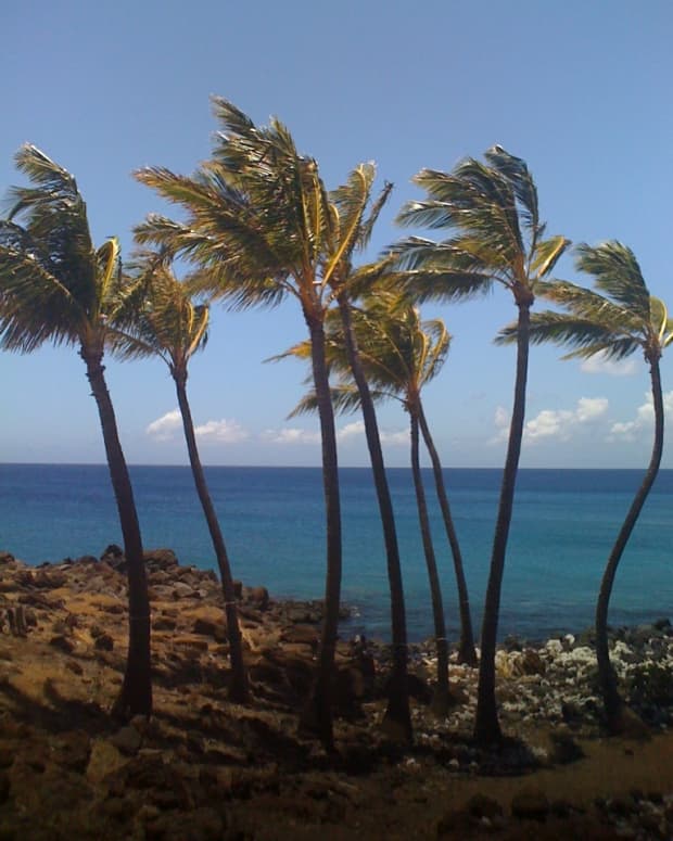 best-beaches-on-the-big-island-of-hawaii