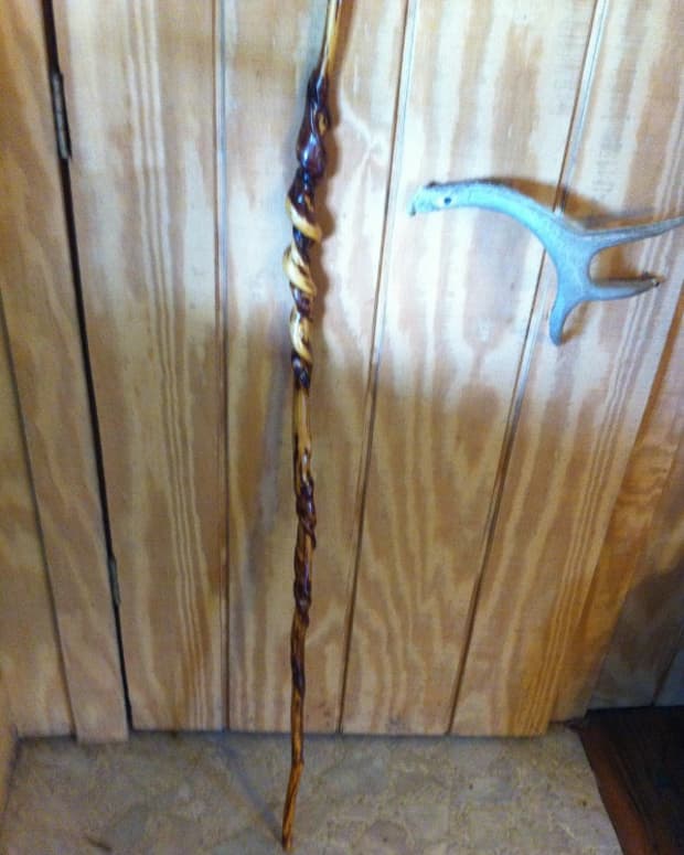 how-to-make-natural-curled-twisty-walking-sticks