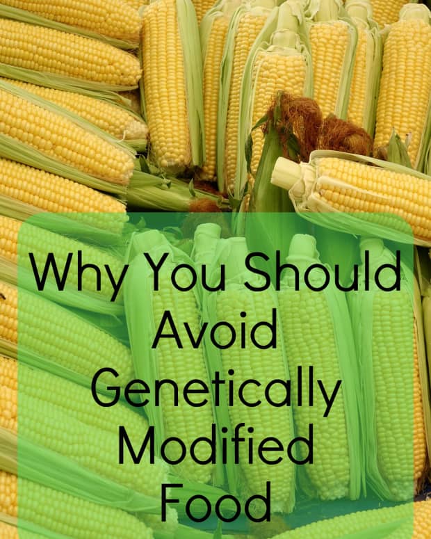 what-genetically-modified-foods-do-to-our-bodies