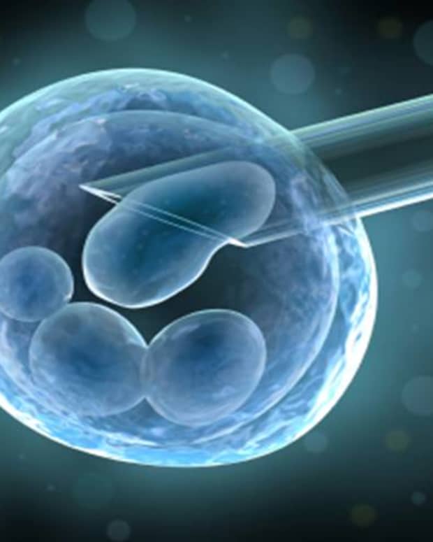 ethical-problems-of-human-embryonic-stem-cell-use-in-scientific-research