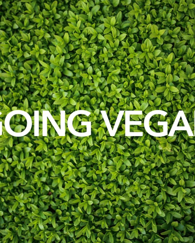 the-reason-for-going-vegan-food-for-thought