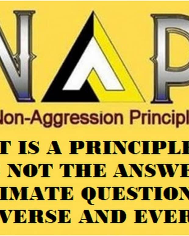 surprise-the-non-aggression-principle-is-a-principle-not-a-philosophy