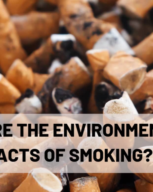 smoking-beyond-you-the-environmental-impact-of-cigarettes
