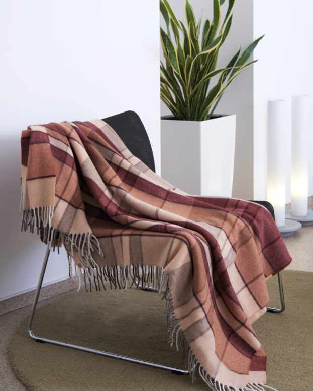 Snake Plants Are Incredibly Easy to Grow Dengarden