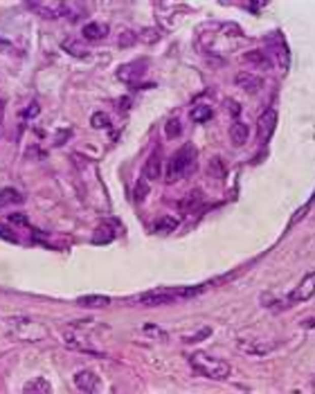 what-is-histology