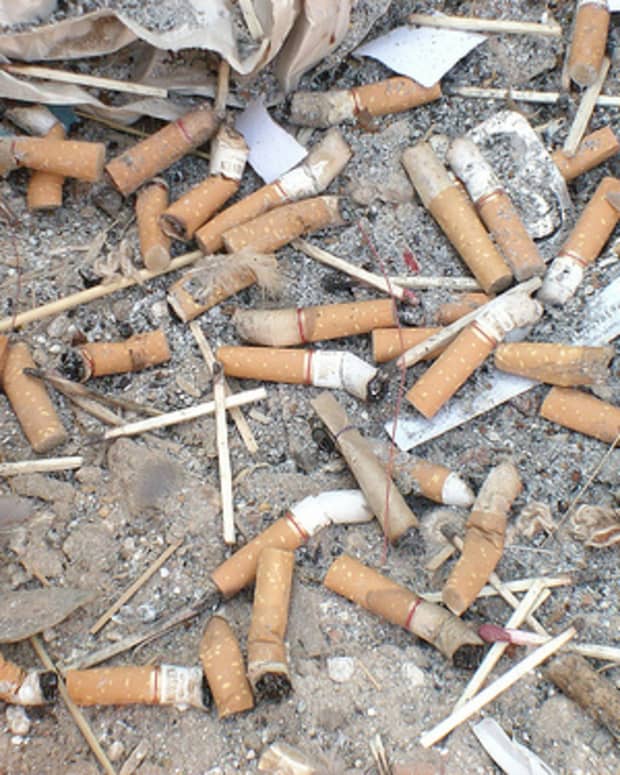the-toxic-trash-of-cigarette-butts
