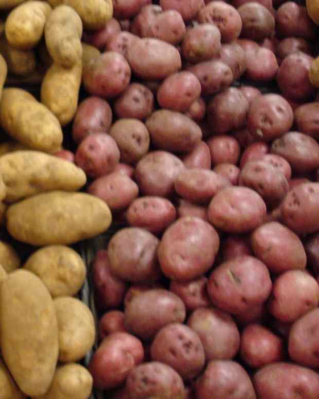 How to Grow Potatoes in the Desert Dengarden Home and