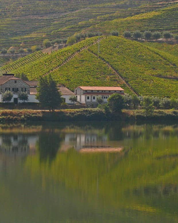 wineries-in-portugal-for-beginners-portuguese-wine