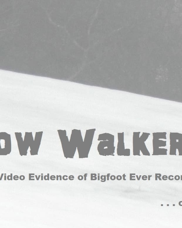 snow-walker-best-bigfoot-video-evidence-ever-or-hoax
