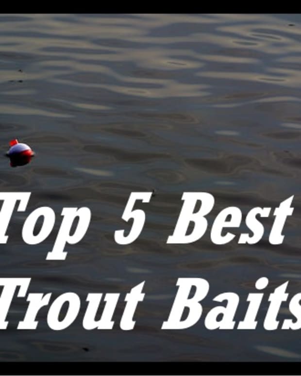 top-5-trout-baits