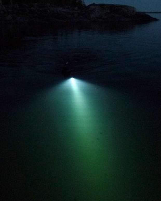 5 Reasons Why It's Better to Fish at Night SkyAboveUs