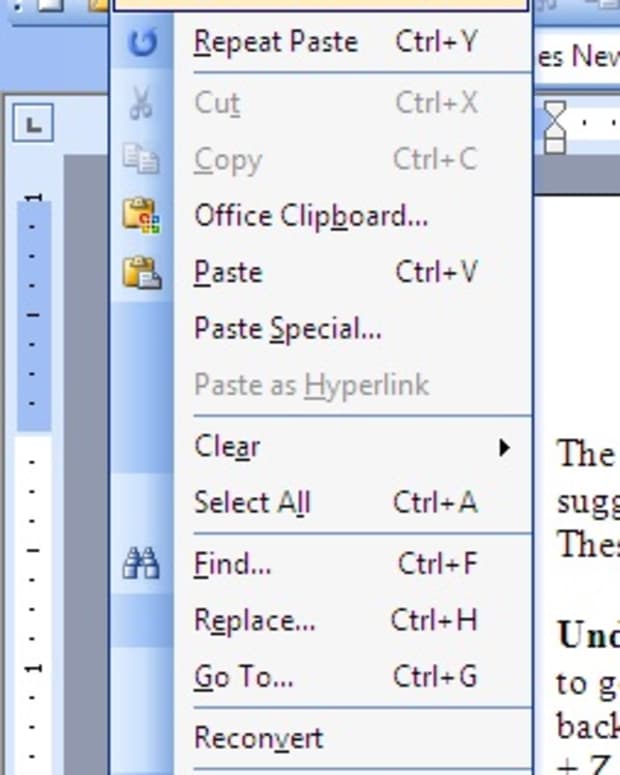 using-the-edit-menu-in-microsoft-word-2003