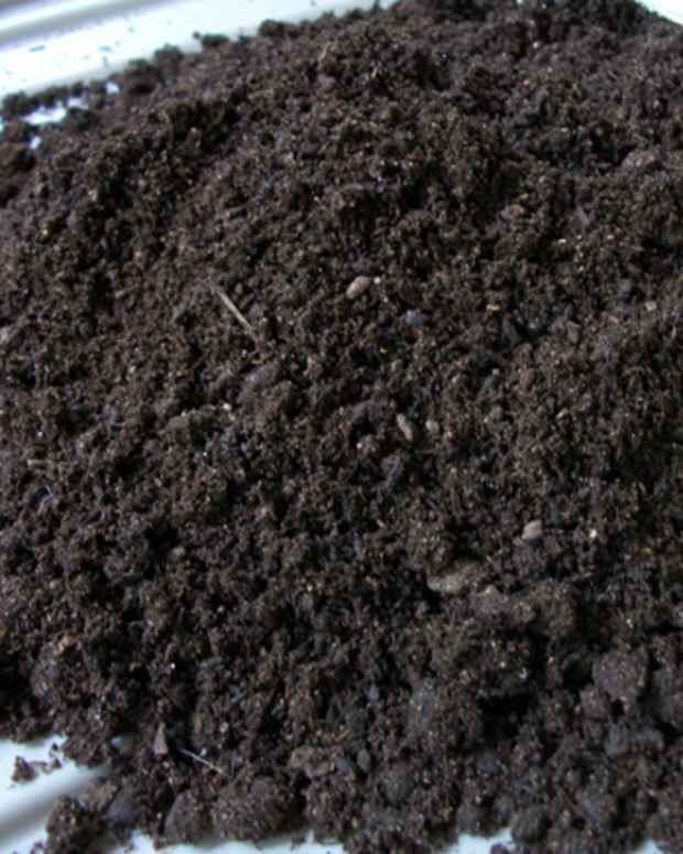 Can You Compost Shredded Paper? Dengarden