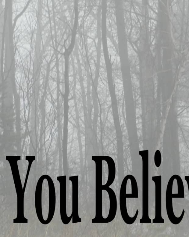 the-paranormal-survey-are-you-a-skeptic-or-a-believer