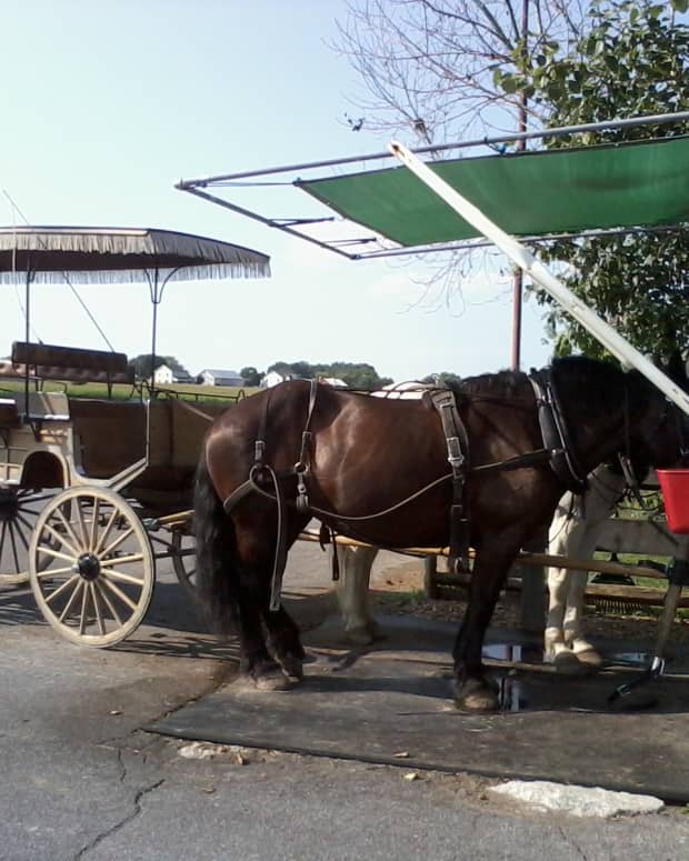 visiting-amish-country-lancaster-county-pennsylvania