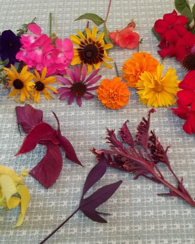 how-to-flower-pound-on-fabric