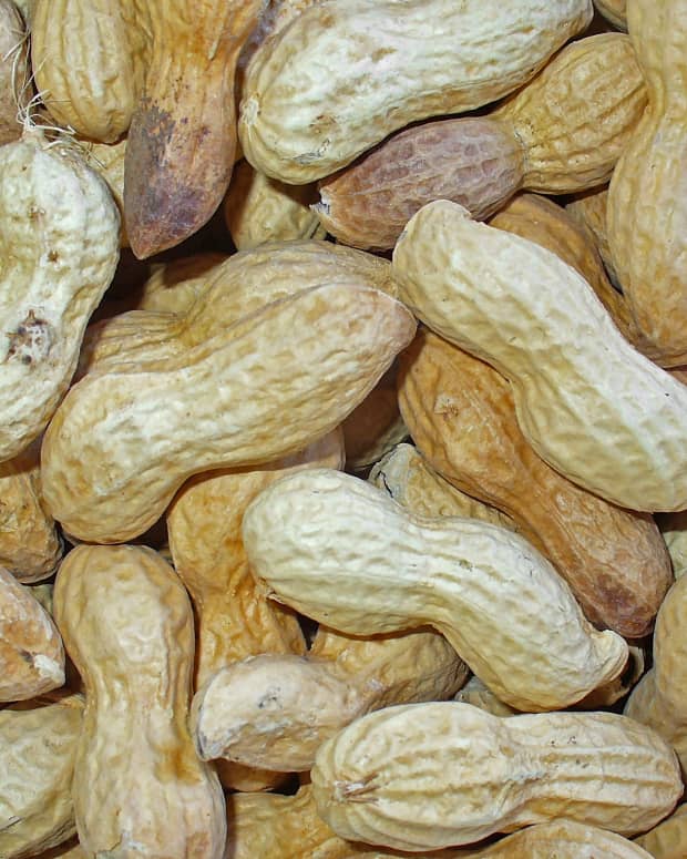raising-a-child-with-peanut-allergies-peanut-allergies-are-on-the-rise