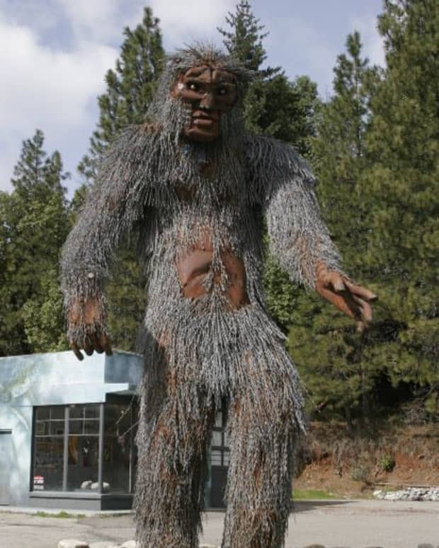 is-bigfoot-real-bigfoot-facts-and-theories-for-skeptics