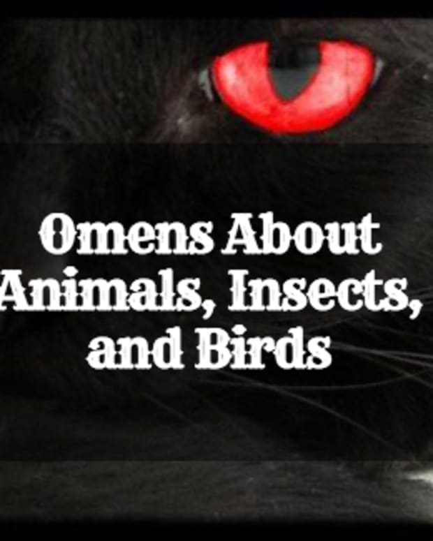 omens-oracles-and-signs-are-you-superstitious
