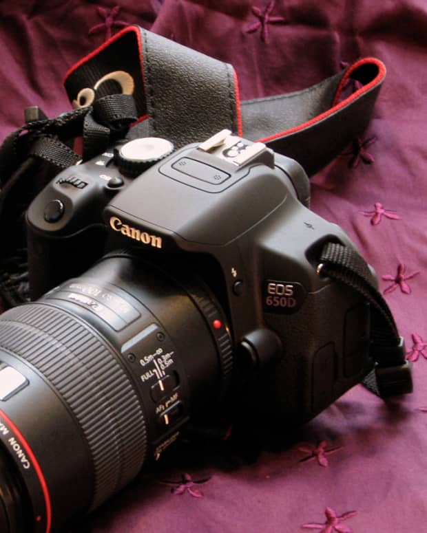 Digital Photography: Canon DSLR 500D Camera Review - FeltMagnet