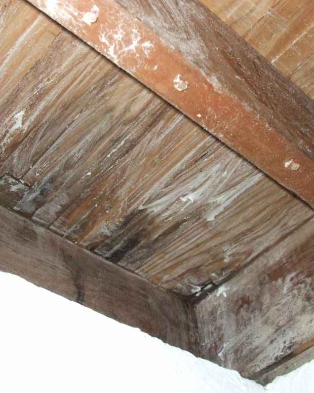 borax-on-wooden-joists-for-mold-treament