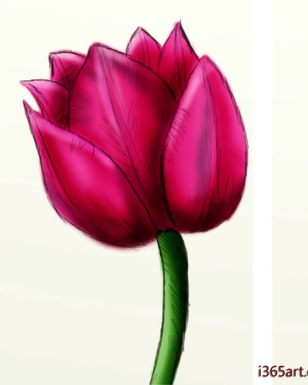 how-to-draw-a-beautiful-tulip