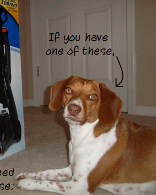 How to Use a Rug Doctor Steam Cleaner Dengarden Home and Garden