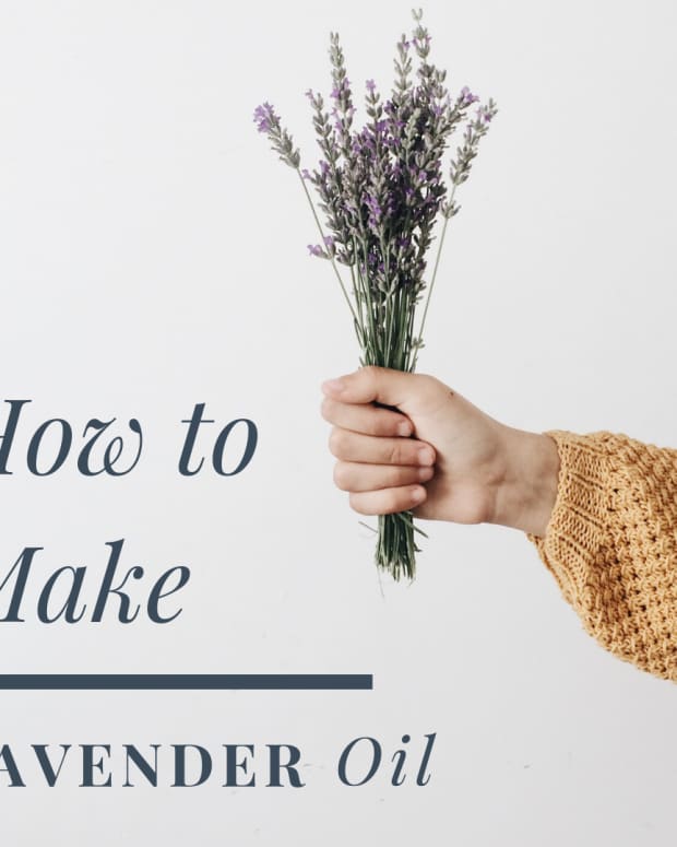how-to-make-lavender-oil