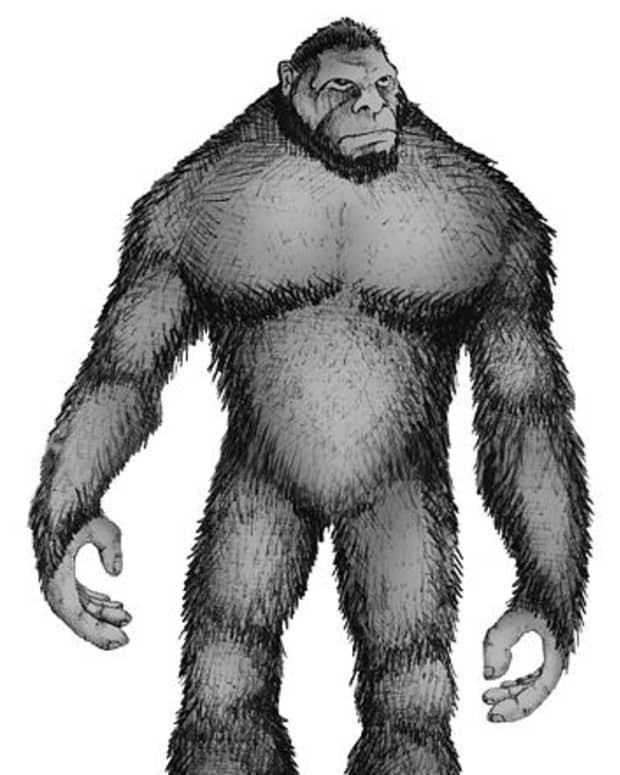 bigfoot-sightings-where-does-bigfoot-live-in-north-america